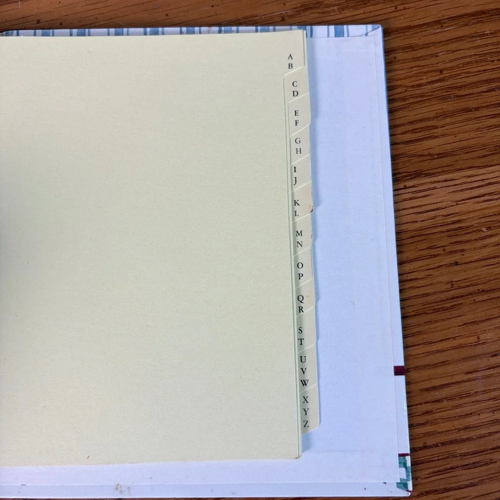 Vintage Apple Print Address Book 6 Ring Binder Organizer Blue White Stripe 90s